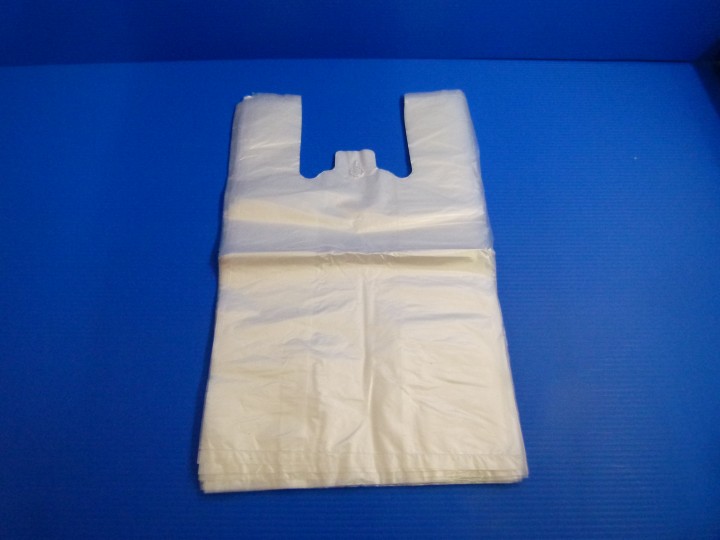 XS Transparent Bag