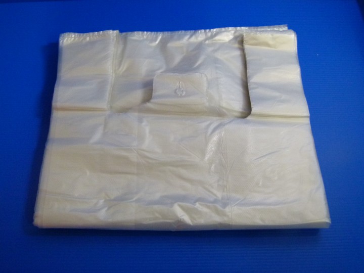 XL Transparent Carrier Bag