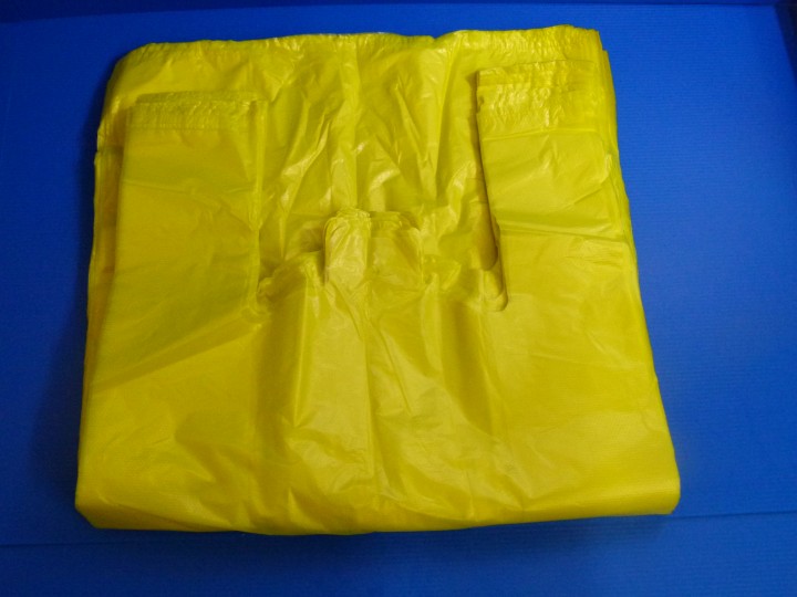 XL Yellow Transparent Bag
